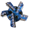PDC Steering Bit
